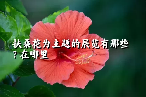 扶桑花为主题的展览有那些？在哪里