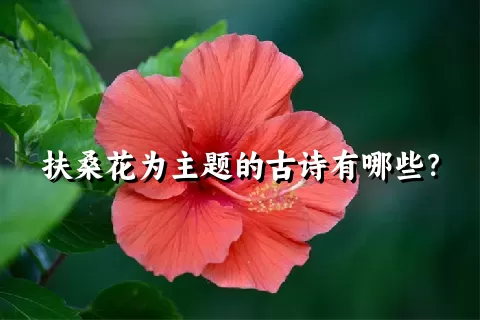 扶桑花为主题的古诗有哪些？