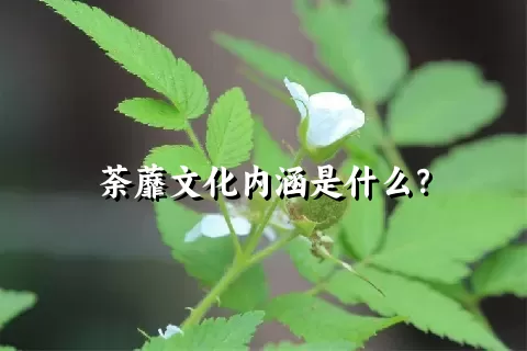 荼蘼文化内涵是什么？