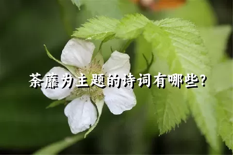 荼蘼为主题的诗词有哪些？