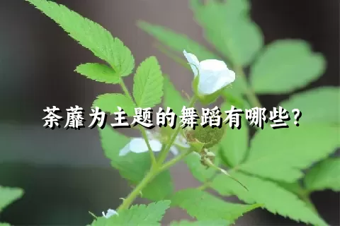 荼蘼为主题的舞蹈有哪些？