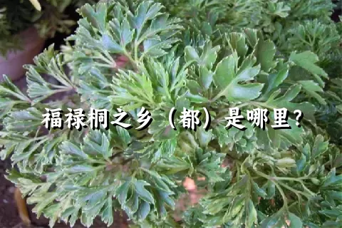 福禄桐之乡（都）是哪里？