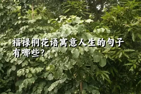 福禄桐花语寓意人生的句子有哪些？