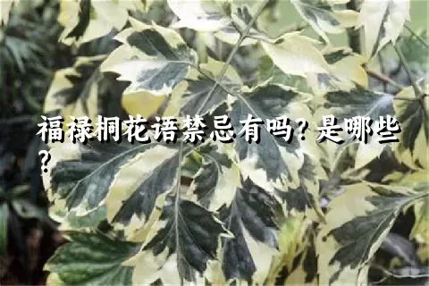 福禄桐花语禁忌有吗？是哪些？