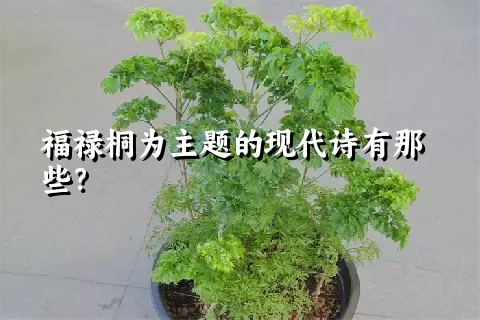 福禄桐为主题的现代诗有那些？