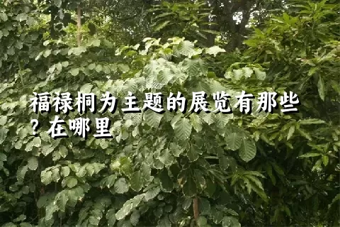 福禄桐为主题的展览有那些？在哪里