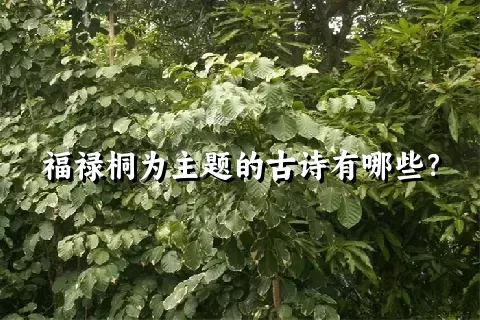 福禄桐为主题的古诗有哪些？