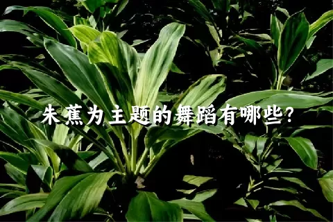 朱蕉为主题的舞蹈有哪些？