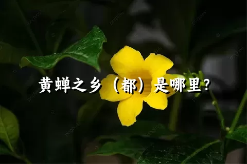 黄蝉之乡（都）是哪里？