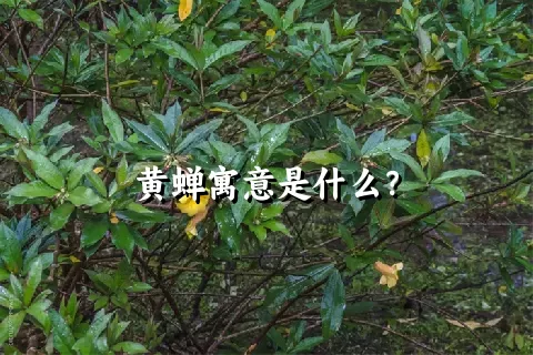 黄蝉寓意是什么？