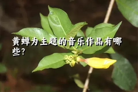 黄蝉为主题的音乐作品有哪些？