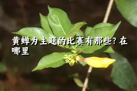 黄蝉为主题的比赛有那些？在哪里