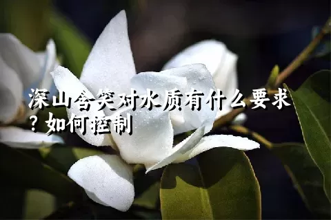 深山含笑对水质有什么要求？如何控制