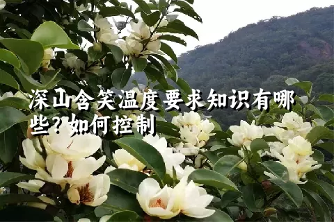 深山含笑温度要求知识有哪些？如何控制