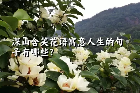 深山含笑花语寓意人生的句子有哪些？