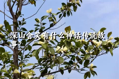 深山含笑有什么神话传说故事？