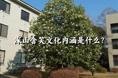 深山含笑文化内涵是什么？