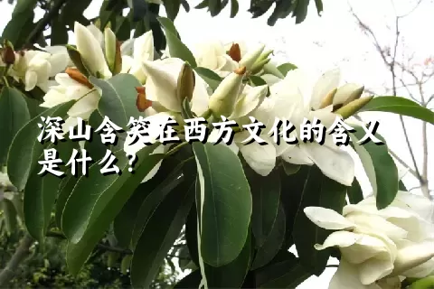 深山含笑在西方文化的含义是什么？