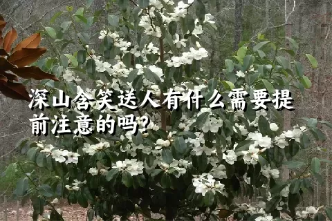 深山含笑送人有什么需要提前注意的吗？