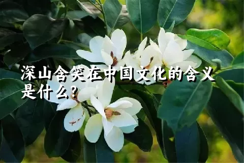 深山含笑在中国文化的含义是什么？