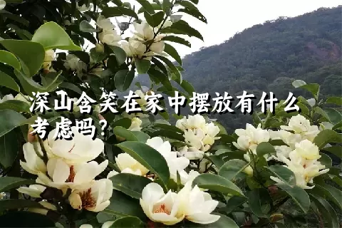 深山含笑在家中摆放有什么考虑吗？