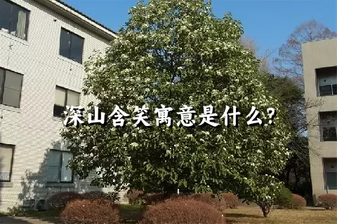 深山含笑寓意是什么？