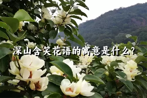 深山含笑花语的寓意是什么？