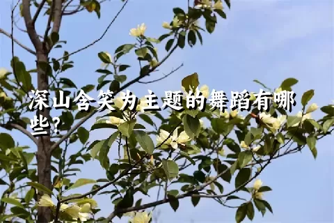 深山含笑为主题的舞蹈有哪些？