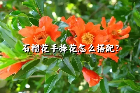 石榴花手捧花怎么搭配？