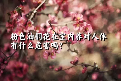 粉色油桐花在室内养对人体有什么危害吗？