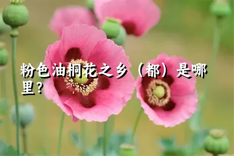 粉色油桐花之乡（都）是哪里？