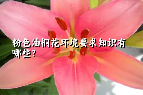 粉色油桐花环境要求知识有哪些？