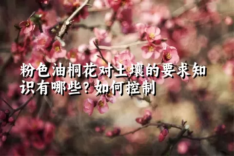 粉色油桐花对土壤的要求知识有哪些？如何控制