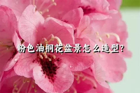 粉色油桐花盆景怎么造型？