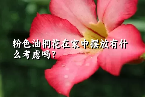 粉色油桐花在家中摆放有什么考虑吗？