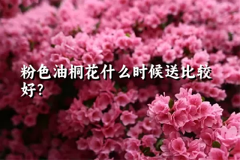 粉色油桐花什么时候送比较好？