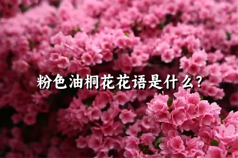 粉色油桐花花语是什么？