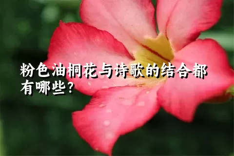 粉色油桐花与诗歌的结合都有哪些？