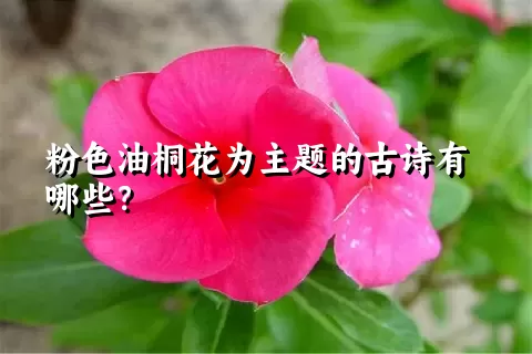 粉色油桐花为主题的古诗有哪些？