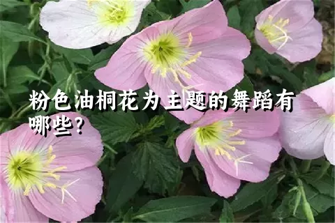 粉色油桐花为主题的舞蹈有哪些？