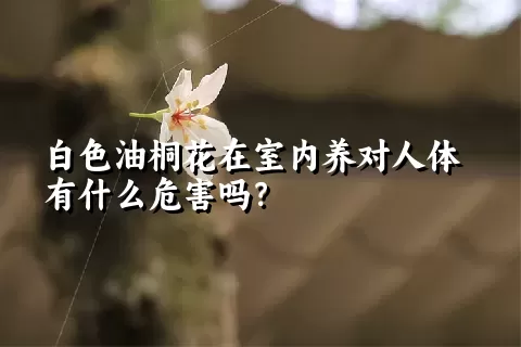 白色油桐花在室内养对人体有什么危害吗？