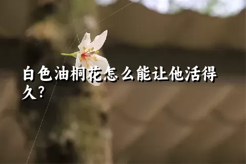 白色油桐花怎么能让他活得久？