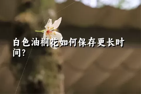 白色油桐花如何保存更长时间？