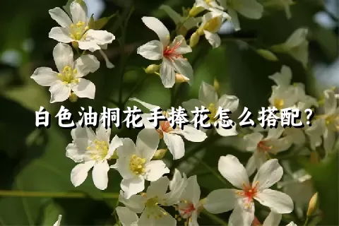 白色油桐花手捧花怎么搭配？