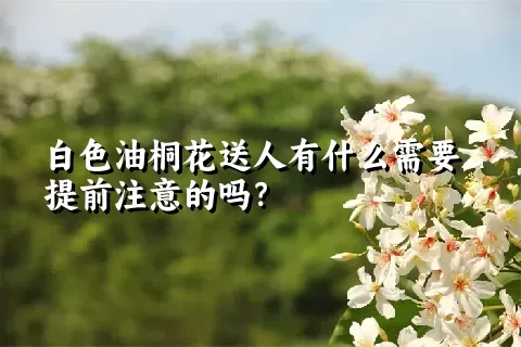 白色油桐花送人有什么需要提前注意的吗？