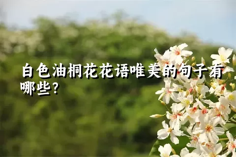 白色油桐花花语唯美的句子有哪些？