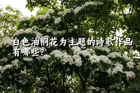 白色油桐花为主题的诗歌作品有哪些？