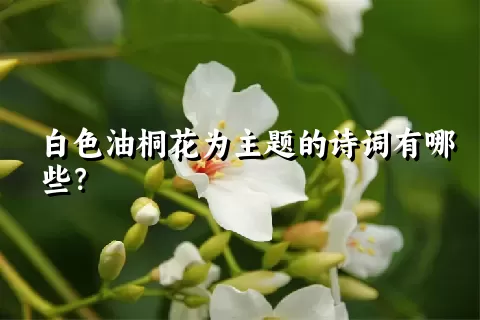 白色油桐花为主题的诗词有哪些？