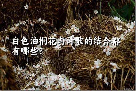 白色油桐花与诗歌的结合都有哪些？