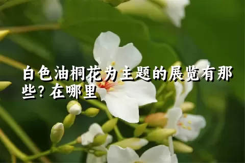 白色油桐花为主题的展览有那些？在哪里